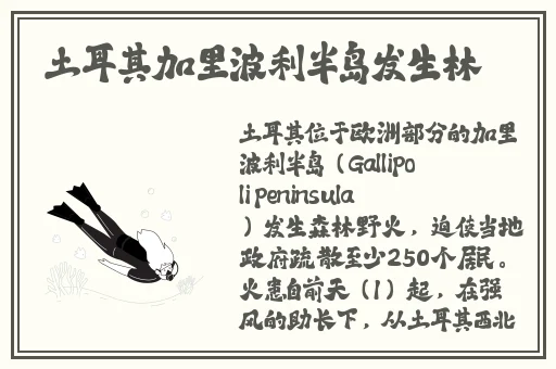 99国精产品w灬源码1688养生